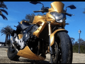 Hornet 600