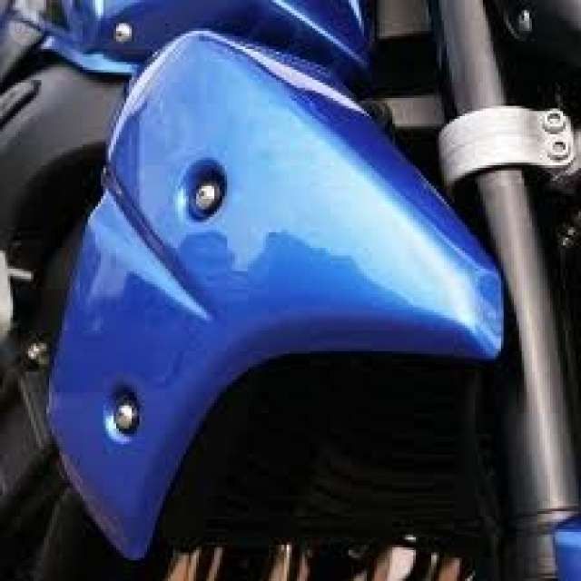 Escopas Yamaha FZ8 - Imagen 6