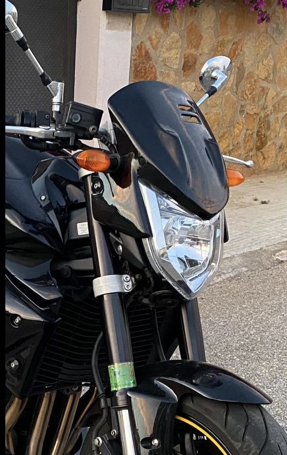 Cúpula Yamaha FZ1 - Imagen 4